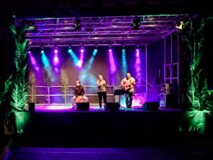 Veranstaltungstechnik, Sascha Zimmermann, SZ-Showlights, Wiesloch, Mannheim. Heidelberg, Rhein-Neckar-Kreis, Robe, HK Audio, Nivtec, Veranstaltung, Firmenfeier,